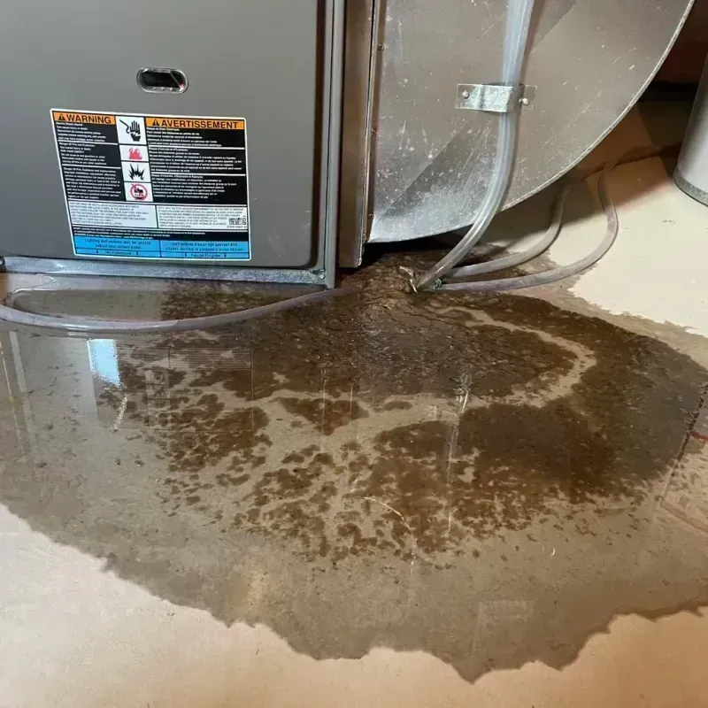 Appliance Leak Cleanup in Sherrelwood, CO